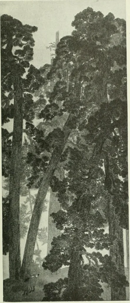 An illustration from Studio international, 1893, leaf 342