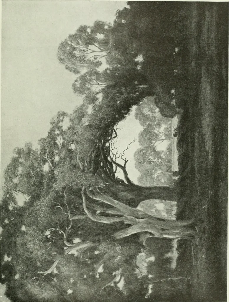 An illustration from Studio international, 1893, leaf 58