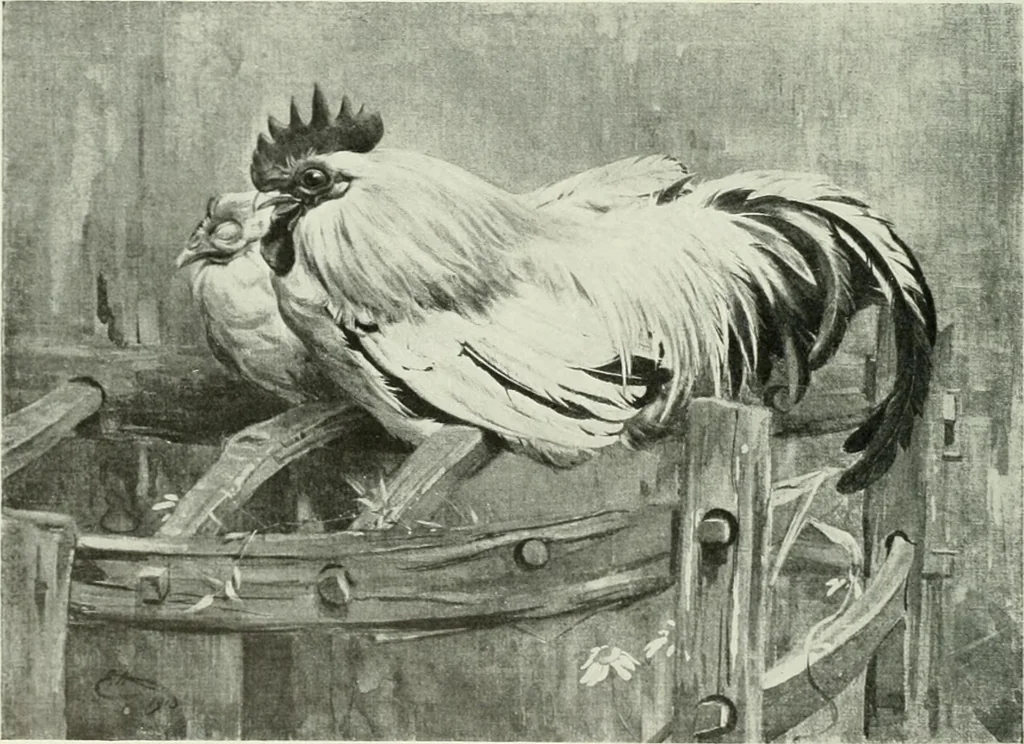 An illustration from Studio international, 1893, leaf 67