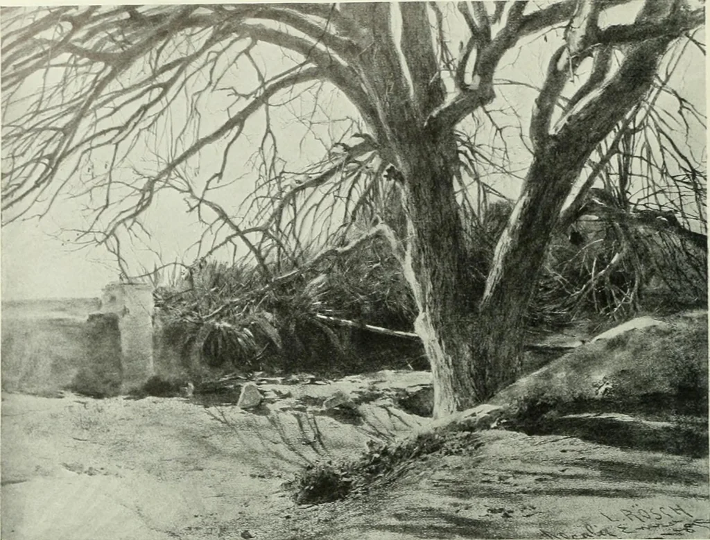 An illustration from Studio international, 1893, leaf 81