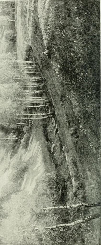 An illustration from Studio international, 1893, leaf 113
