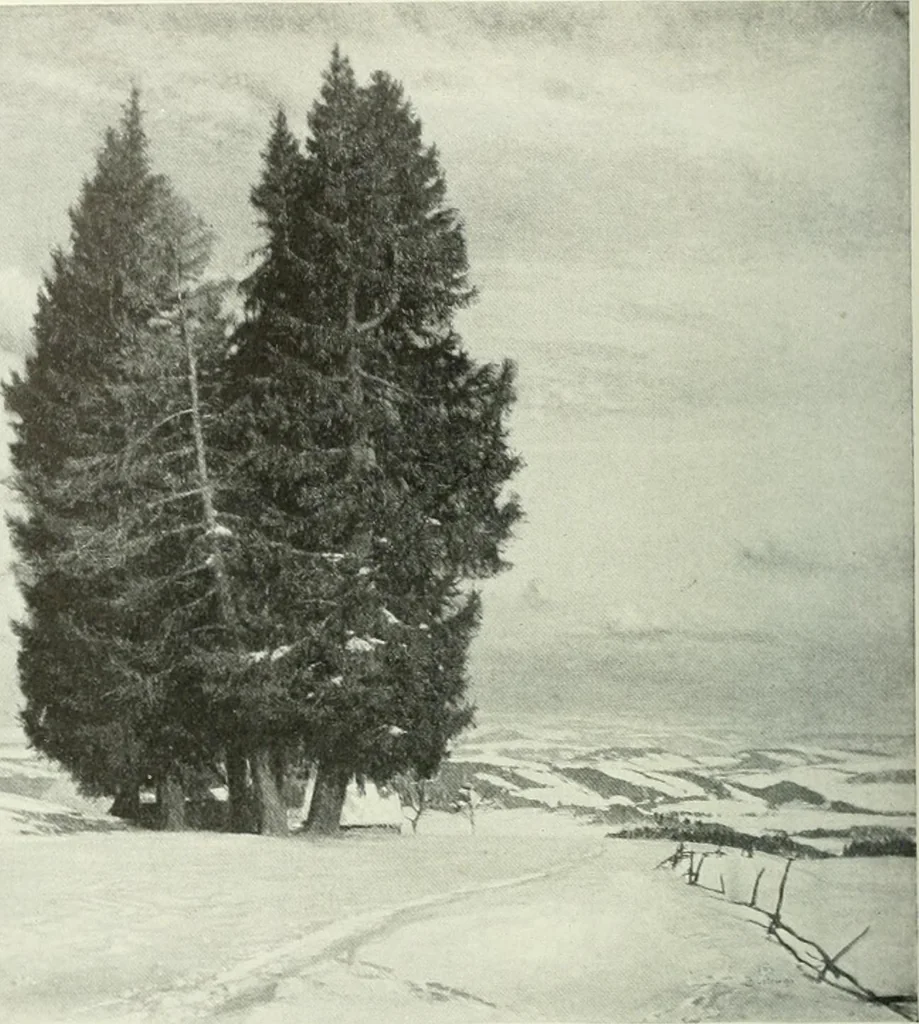 An illustration from Studio international, 1893, leaf 115
