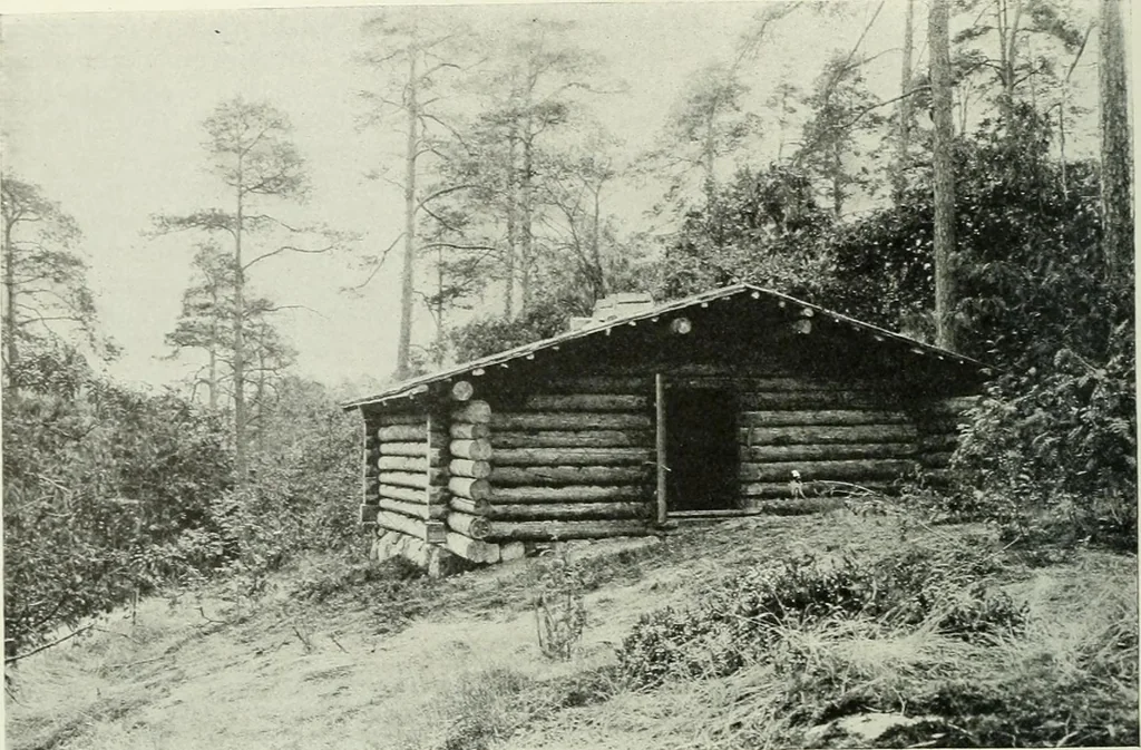 An illustration from Studio international, 1893, leaf 217