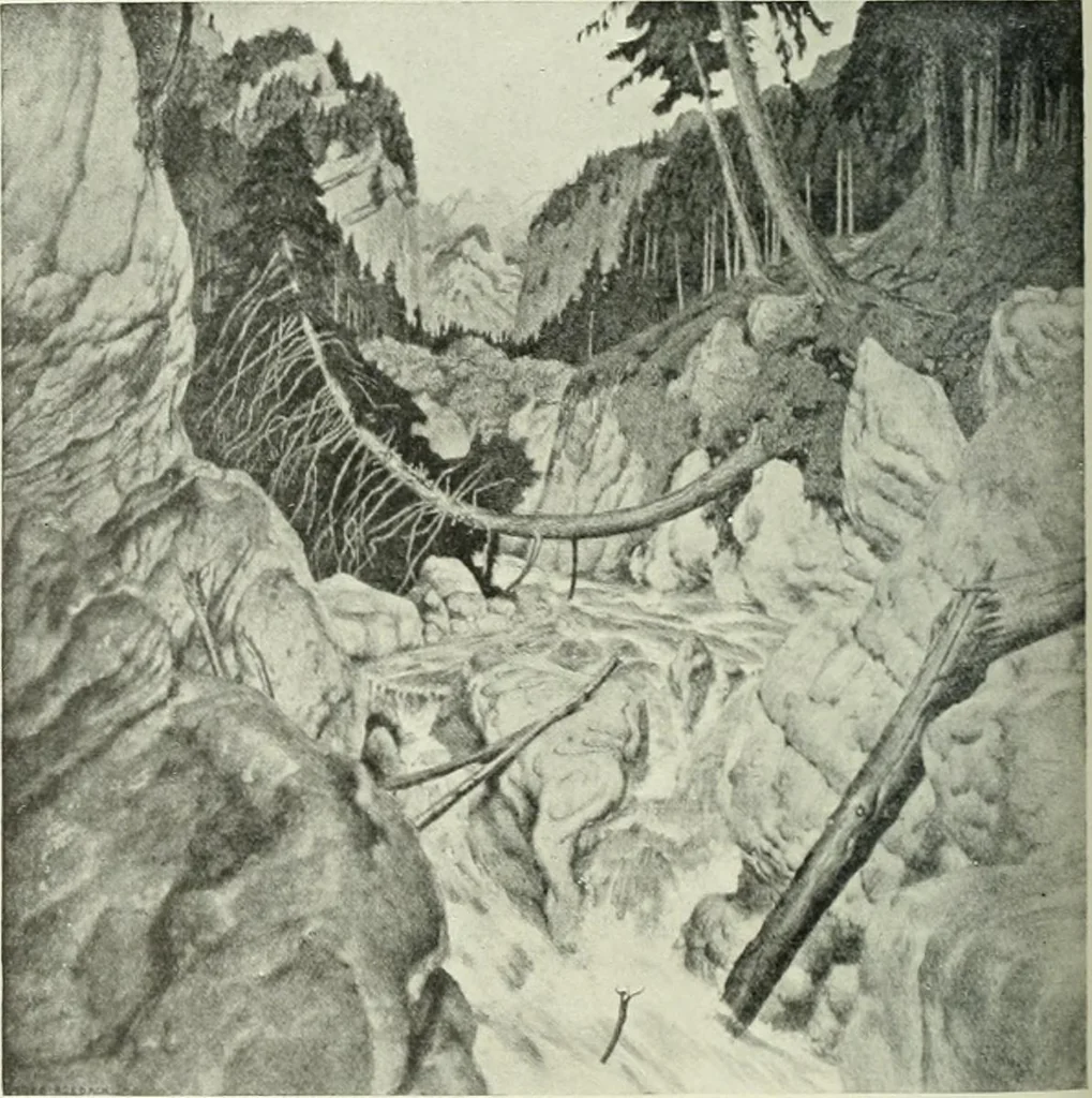 An illustration from Studio international, 1893, leaf 245