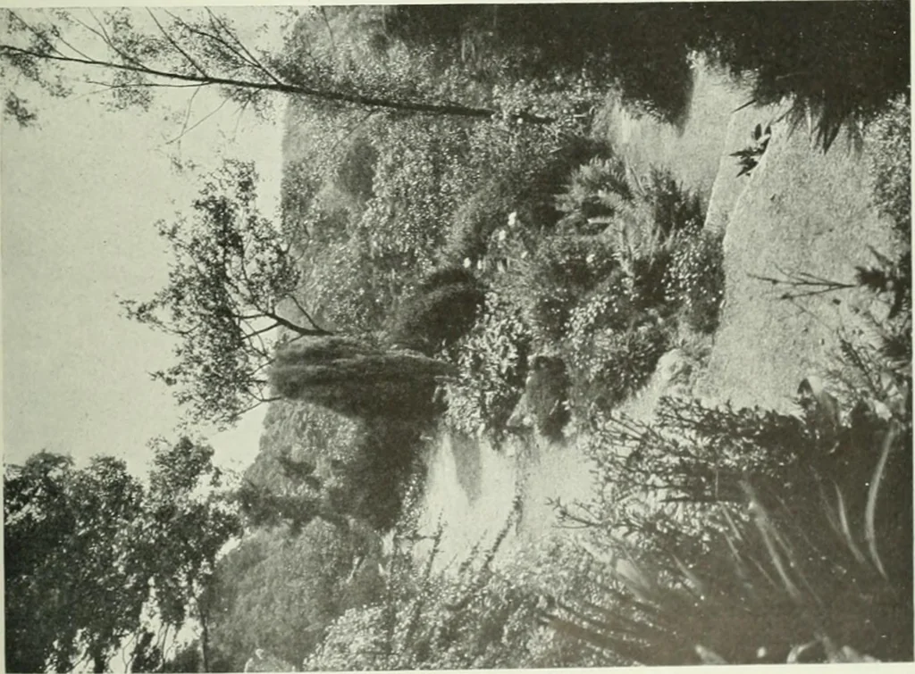 An illustration from Studio international, 1893, leaf 274