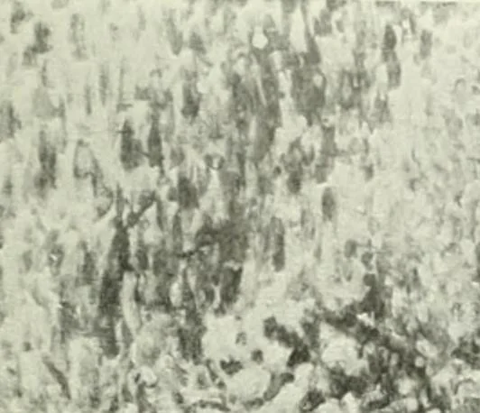 An illustration from Studio international, 1893, leaf 302