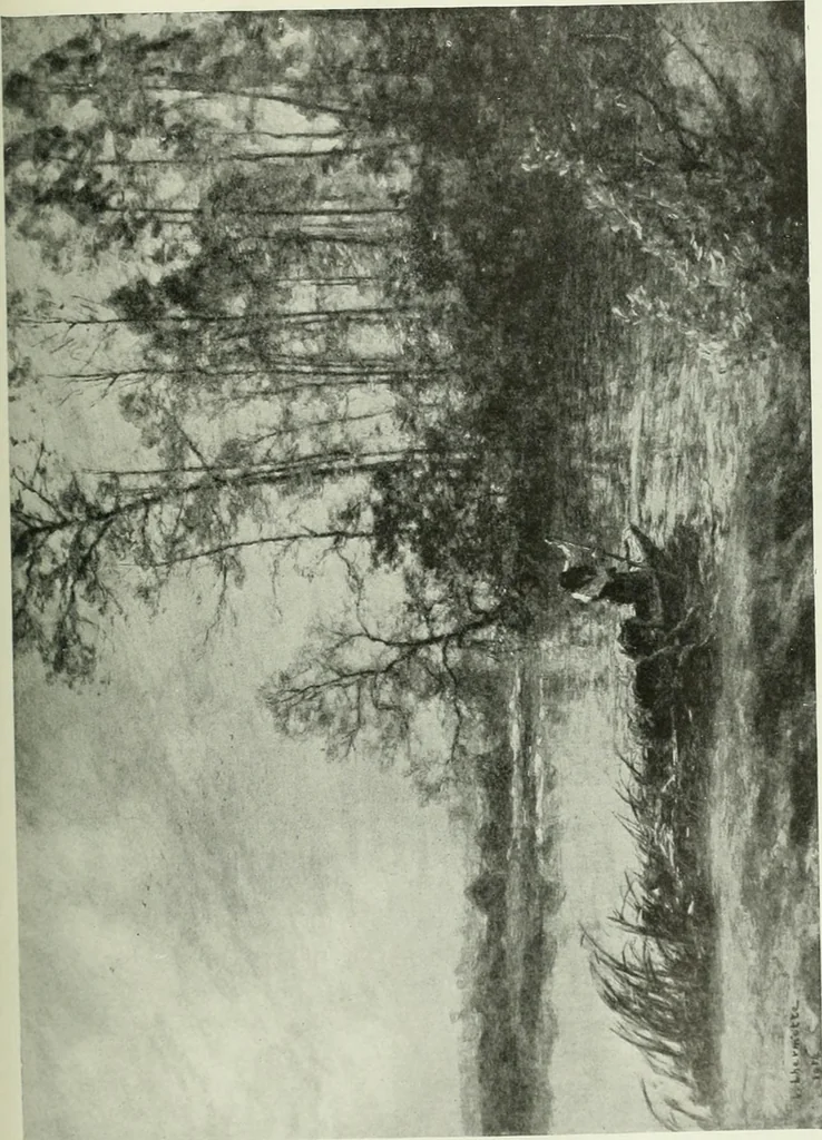 An illustration from Studio international, 1893, leaf 52