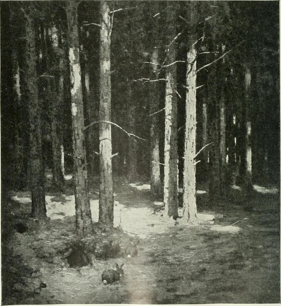 An illustration from Studio international, 1893, leaf 111