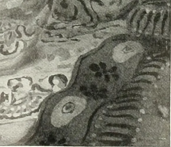 An illustration from Studio international, 1893, leaf 142