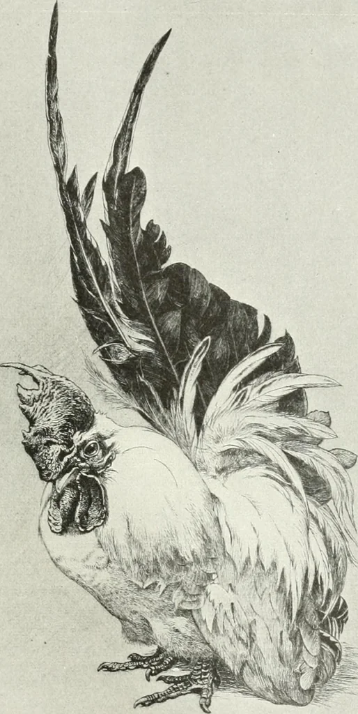 An illustration from Studio international, 1893, leaf 194