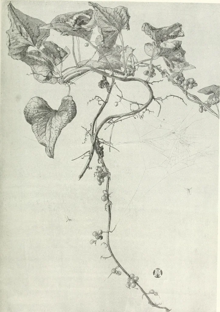 An illustration from Studio international, 1893, leaf 200