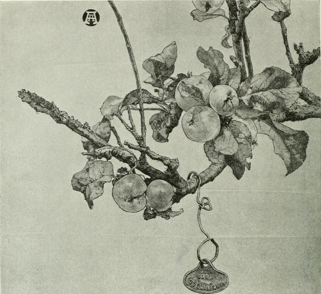 An illustration from Studio international, 1893, leaf 201