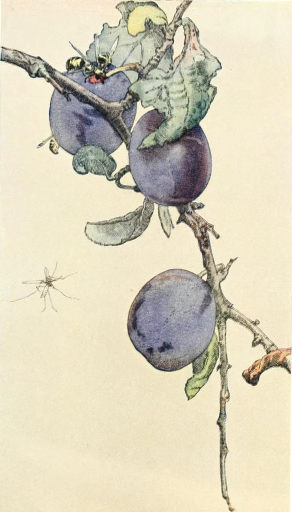 An illustration from Studio international, 1893, leaf 202