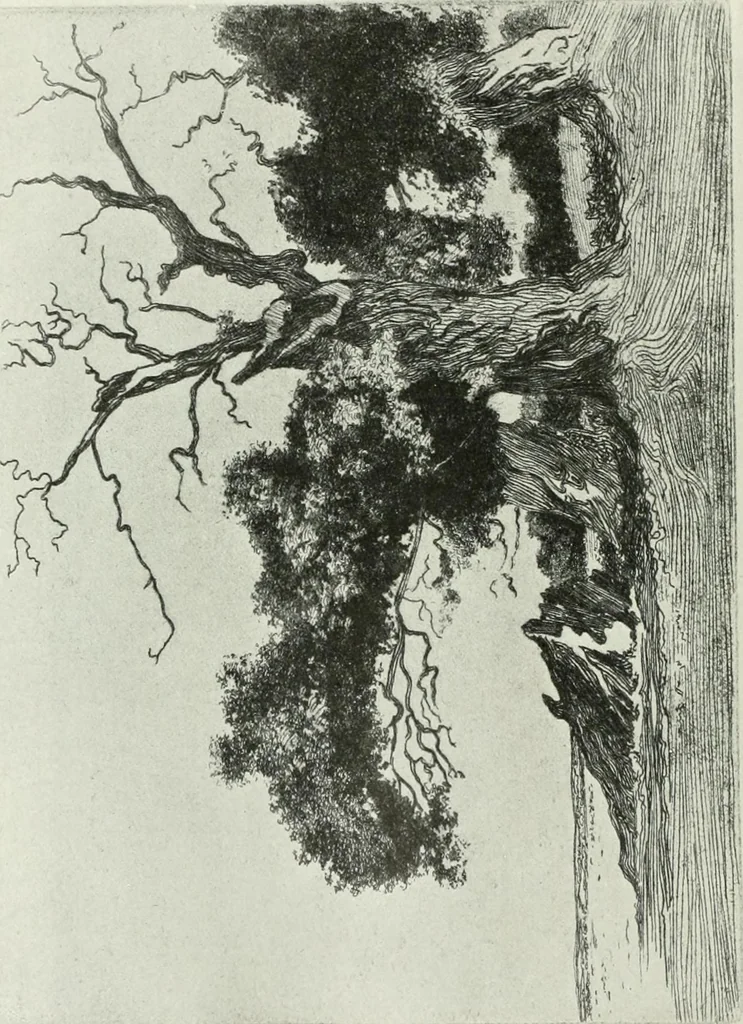 An illustration from Studio international, 1893, leaf 211