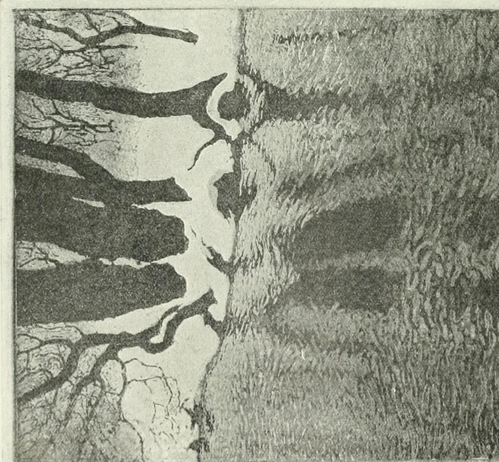 An illustration from Studio international, 1893, leaf 223