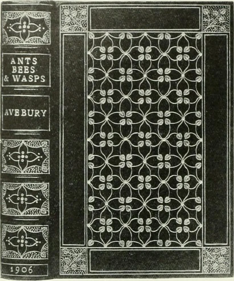 An illustration from Studio international, 1893, leaf 227