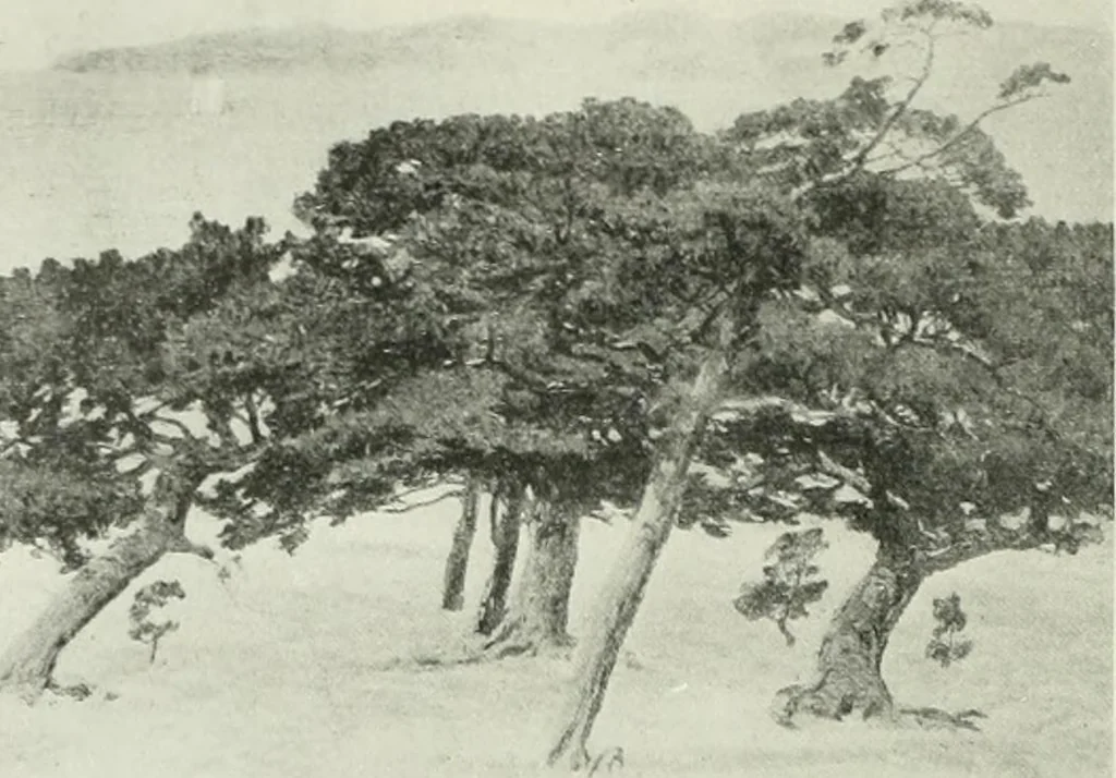 An illustration from Studio international, 1893, leaf 277