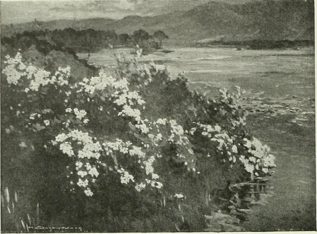 An illustration from Studio international, 1893, leaf 281