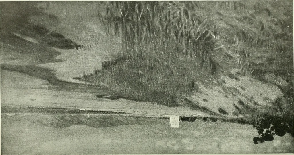 An illustration from Studio international, 1893, leaf 146