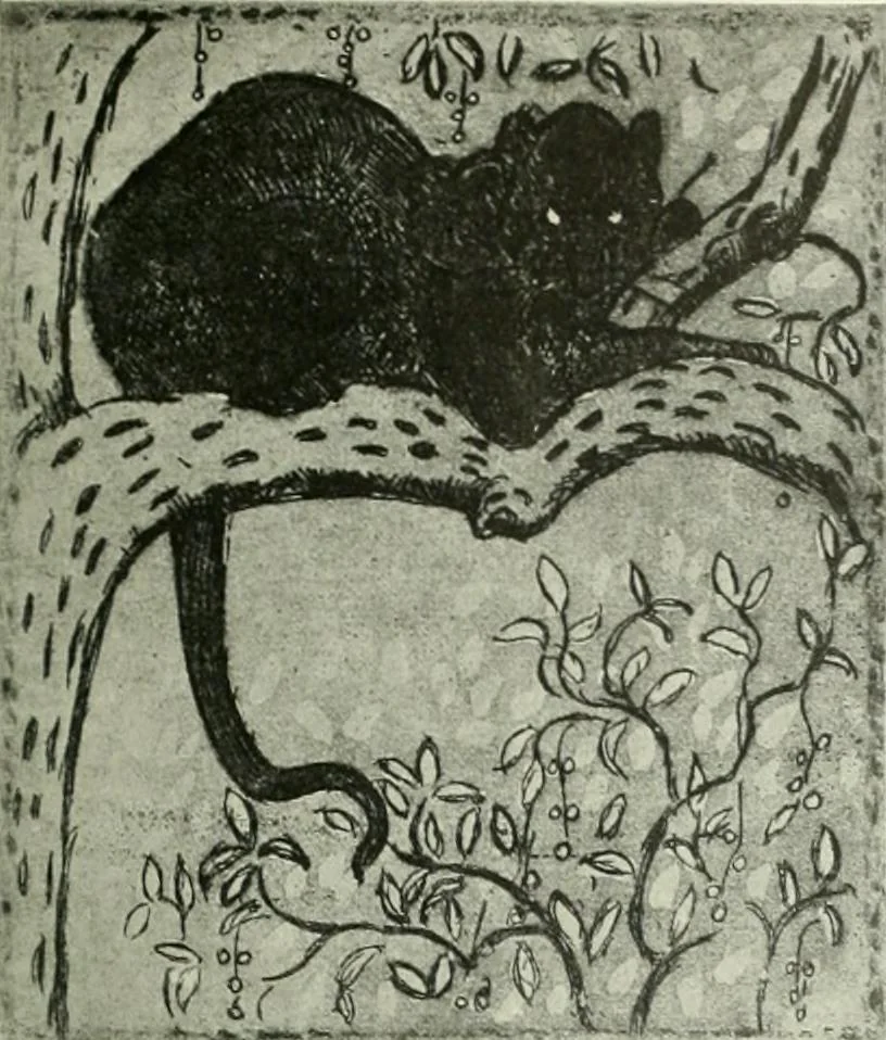 An illustration from Studio international, 1893, leaf 194