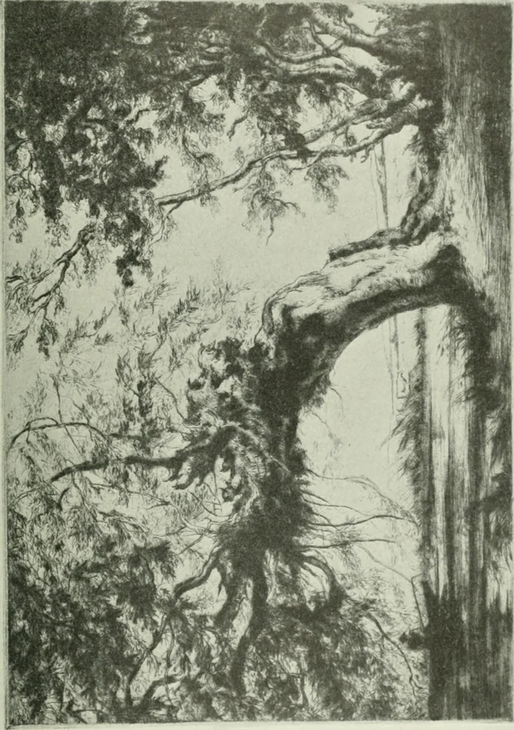 An illustration from Studio international, 1893, leaf 282