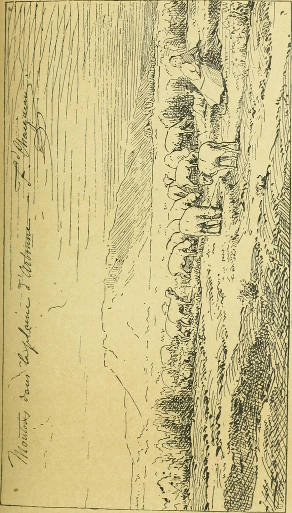 An illustration from Studio international, 1893, leaf 98