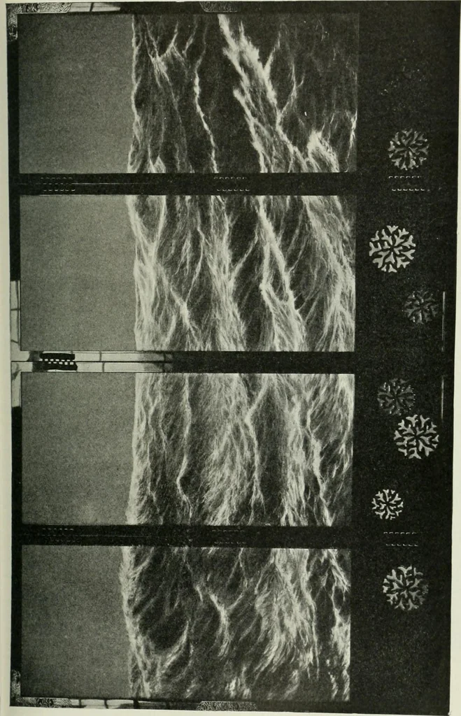 An illustration from Studio international, 1893, leaf 174