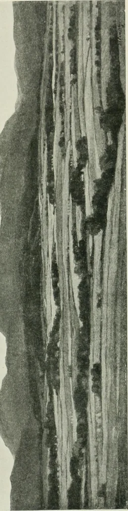 An illustration from Studio international, 1893, leaf 244