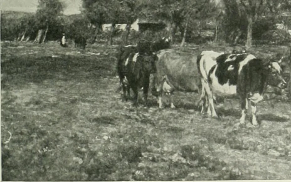 An illustration from Studio international, 1893, leaf 246