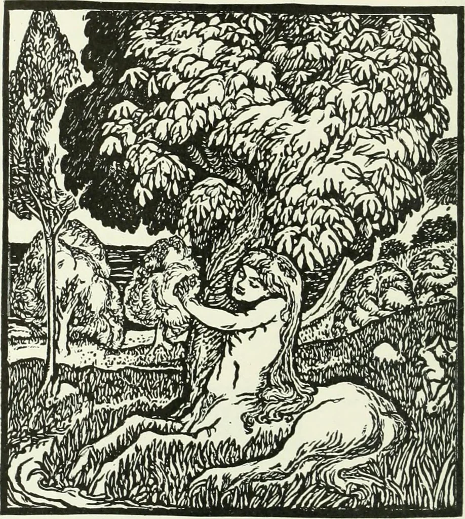 An illustration from Studio international, 1893, leaf 41