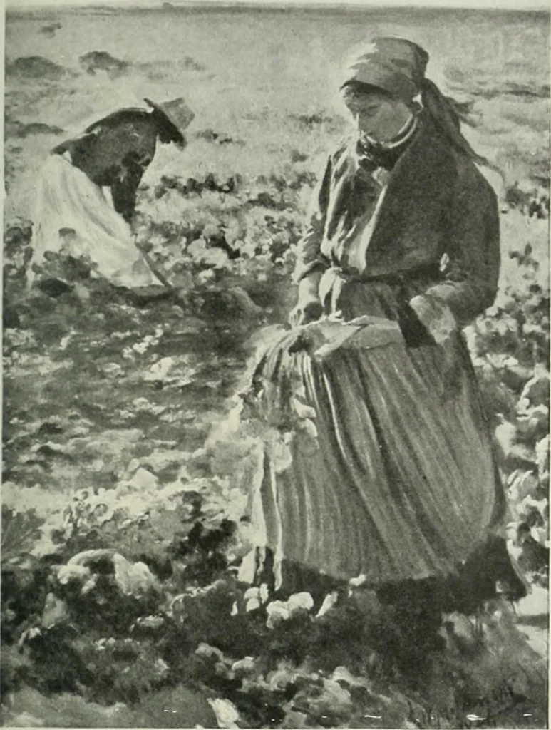 An illustration from Studio international, 1893, leaf 80