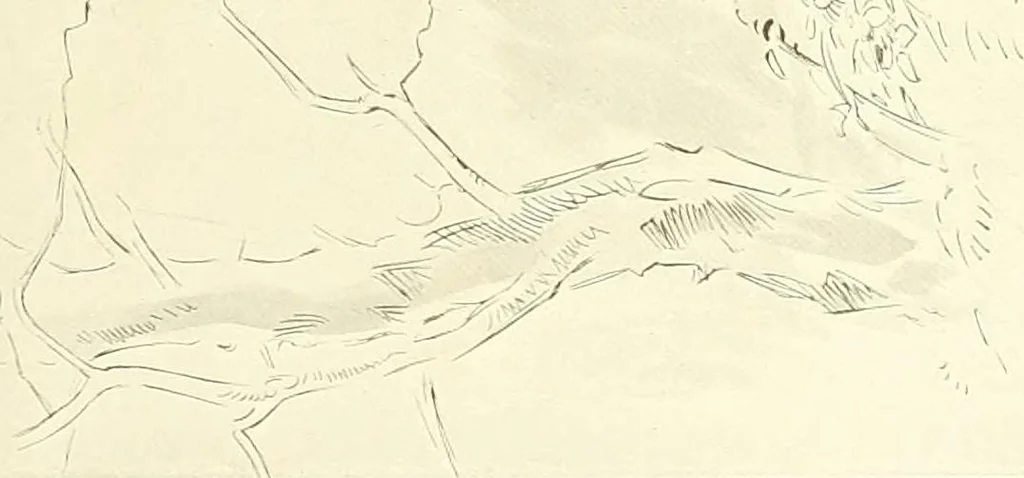 An illustration from Studio international, 1893, leaf 102