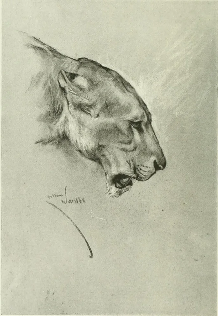 An illustration from Studio international, 1893, leaf 11