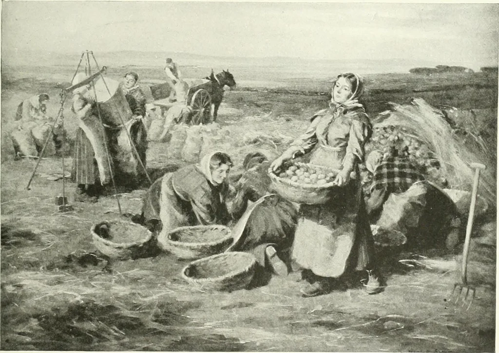 An illustration from Studio international, 1893, leaf 116