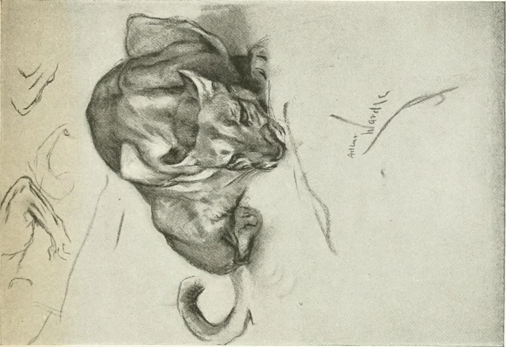 An illustration from Studio international, 1893, leaf 14