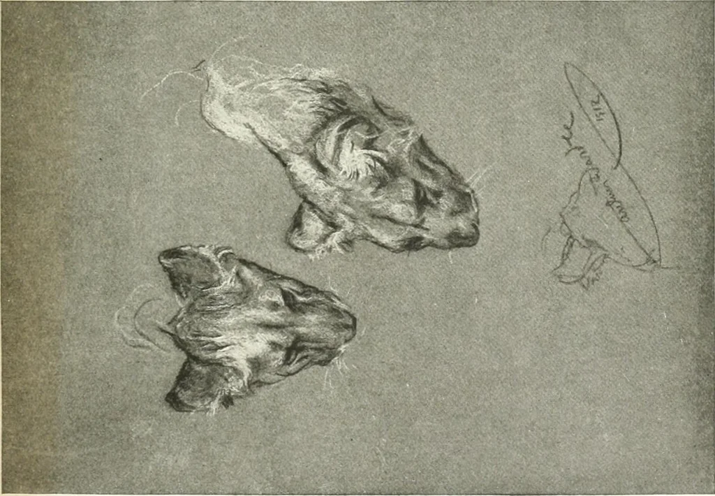 An illustration from Studio international, 1893, leaf 14