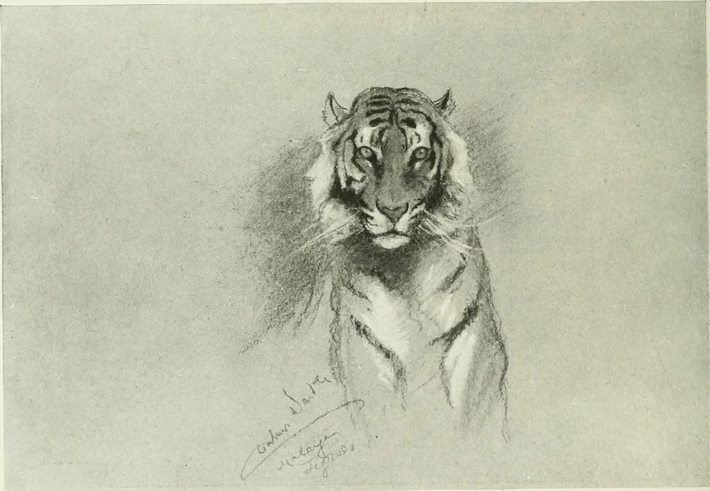 An illustration from Studio international, 1893, leaf 15