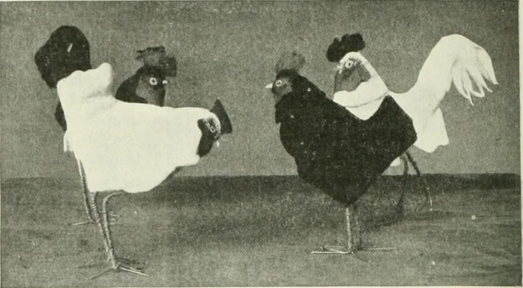 An illustration from Studio international, 1893, leaf 167