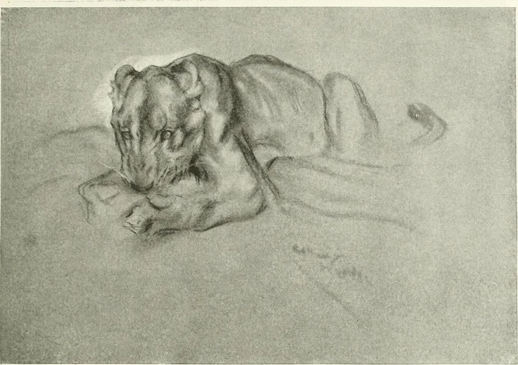 An illustration from Studio international, 1893, leaf 18