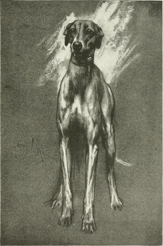An illustration from Studio international, 1893, leaf 20