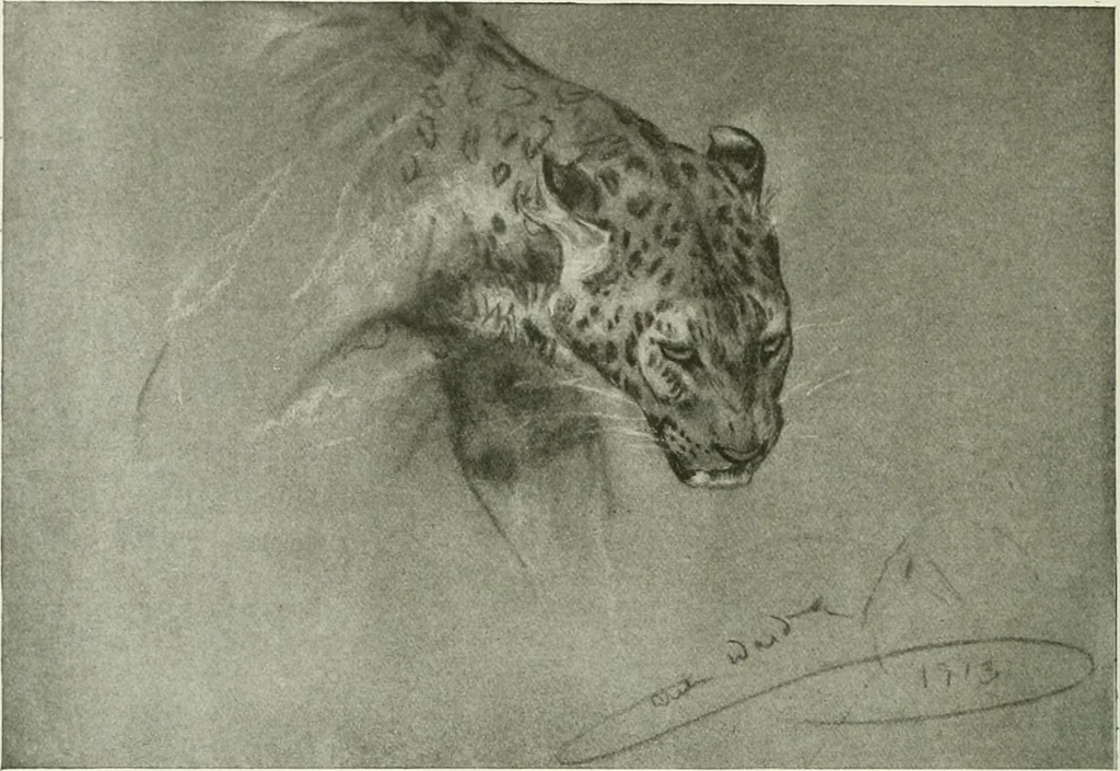 An illustration from Studio international, 1893, leaf 21