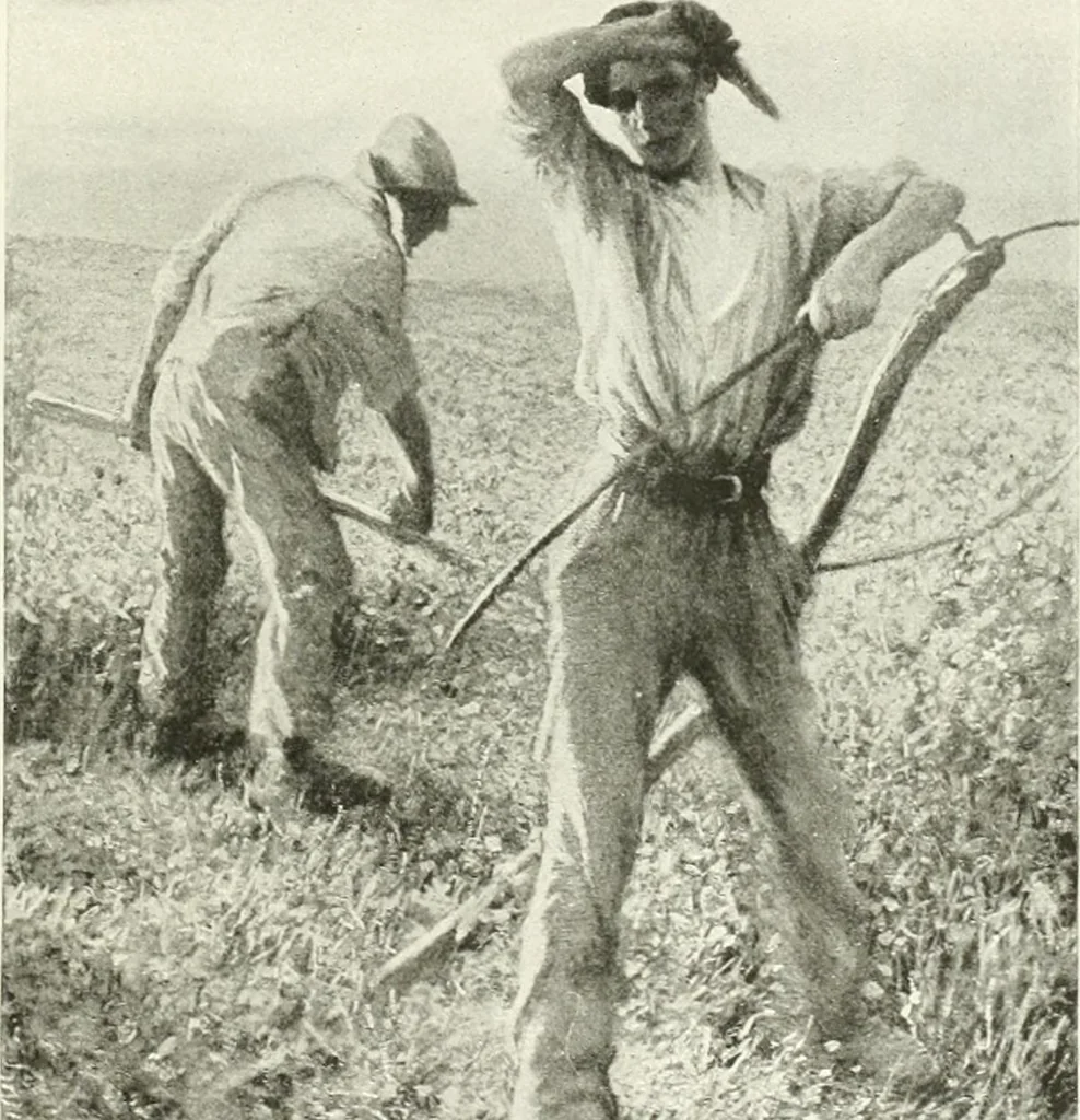 An illustration from Studio international, 1893, leaf 214