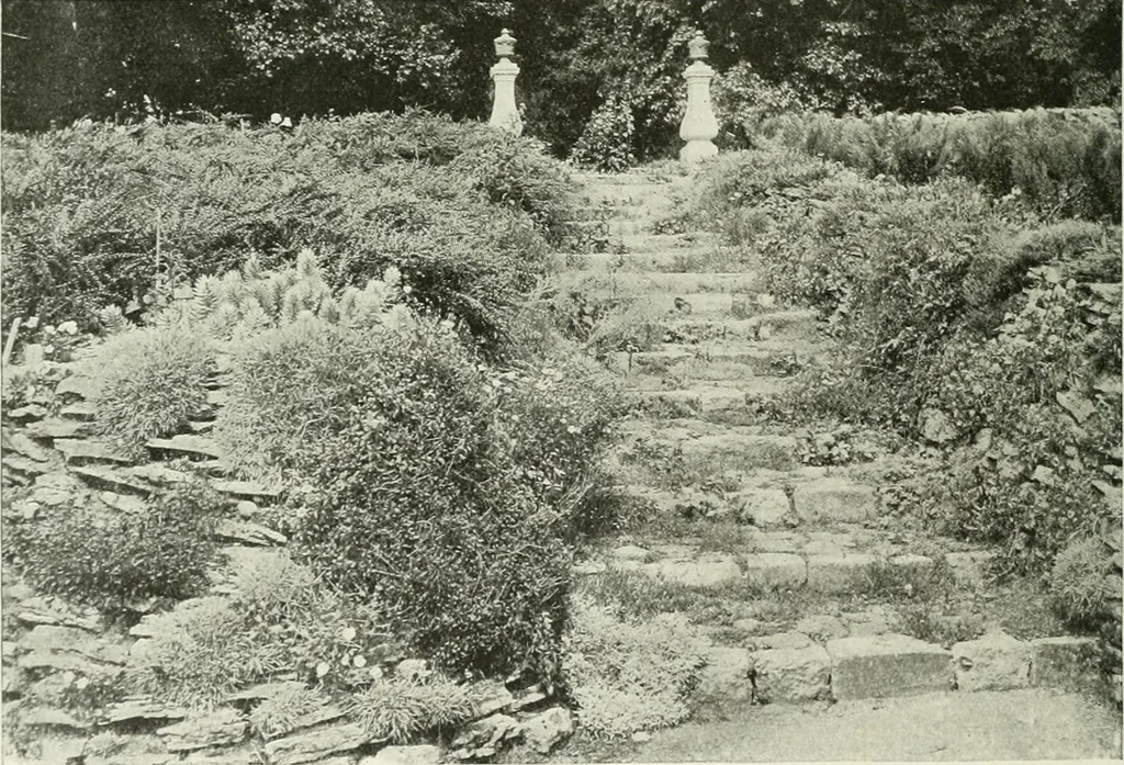 An illustration from Studio international, 1893, leaf 217