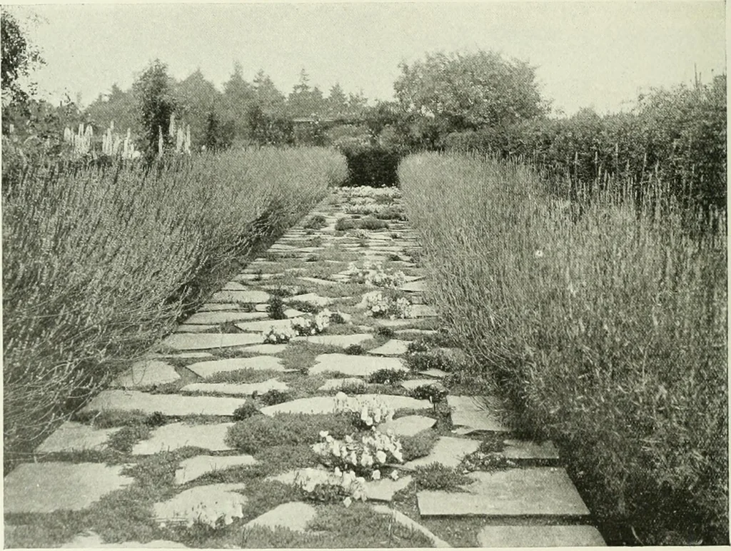 An illustration from Studio international, 1893, leaf 219