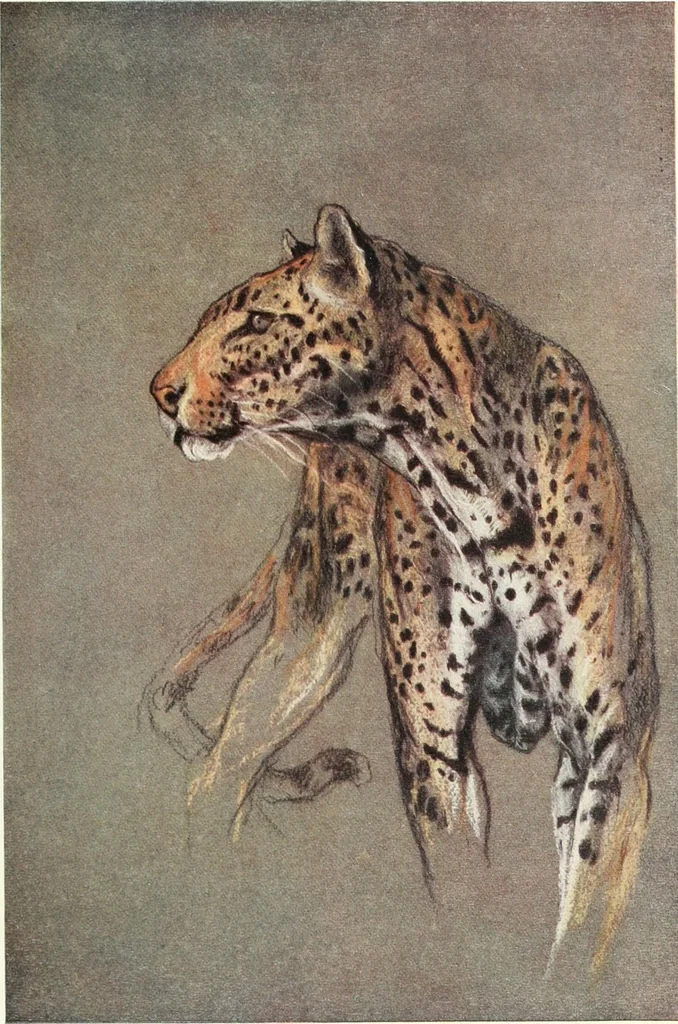 An illustration from Studio international, 1893, leaf 22