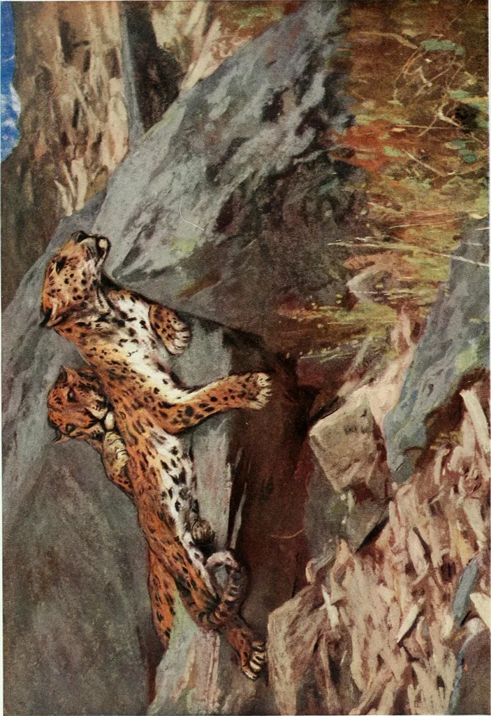 An illustration from Studio international, 1893, leaf 9