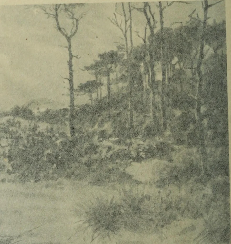 An illustration from Studio international, 1893, leaf 205