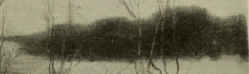 An illustration from Studio international, 1893, leaf 52