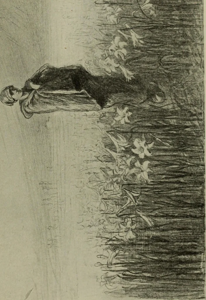 An illustration from Studio international, 1893, leaf 88