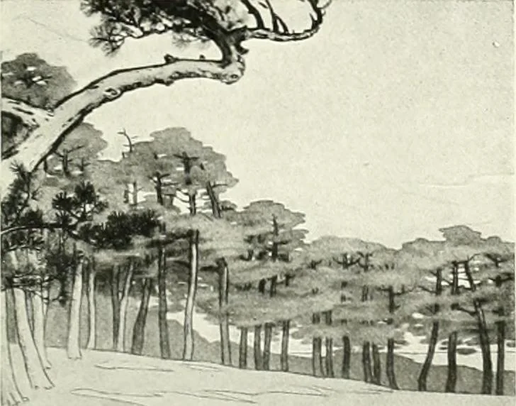 An illustration from Studio international, 1893, leaf 130